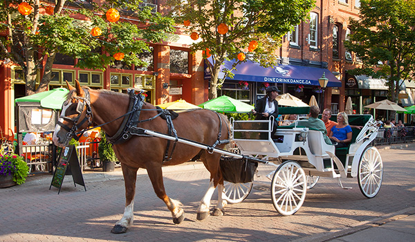 Horse-drawn trolley in Charlottetown. 