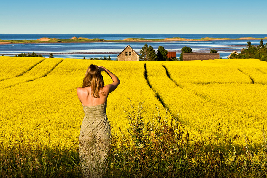 Woman standing in a yellow field looking out toward the ocean.