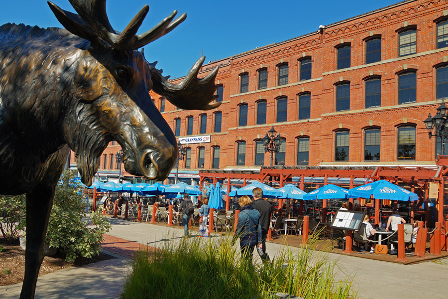 Moos statue and outdoor restaurant seating in Saint John.