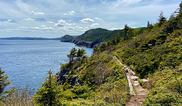Oceanview along the Sugarloaf Path.
