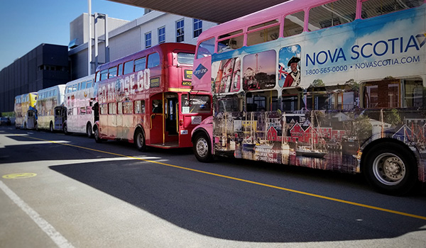 Double decker busses in downtown Halifax.